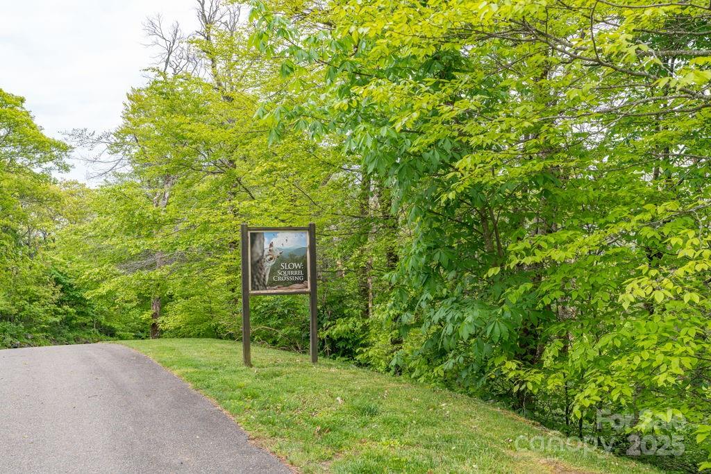 Lot 16 Crown Point Road, Unit 16 Hubert, NC 28539 - Photo 11 of 28 a view of a back yard