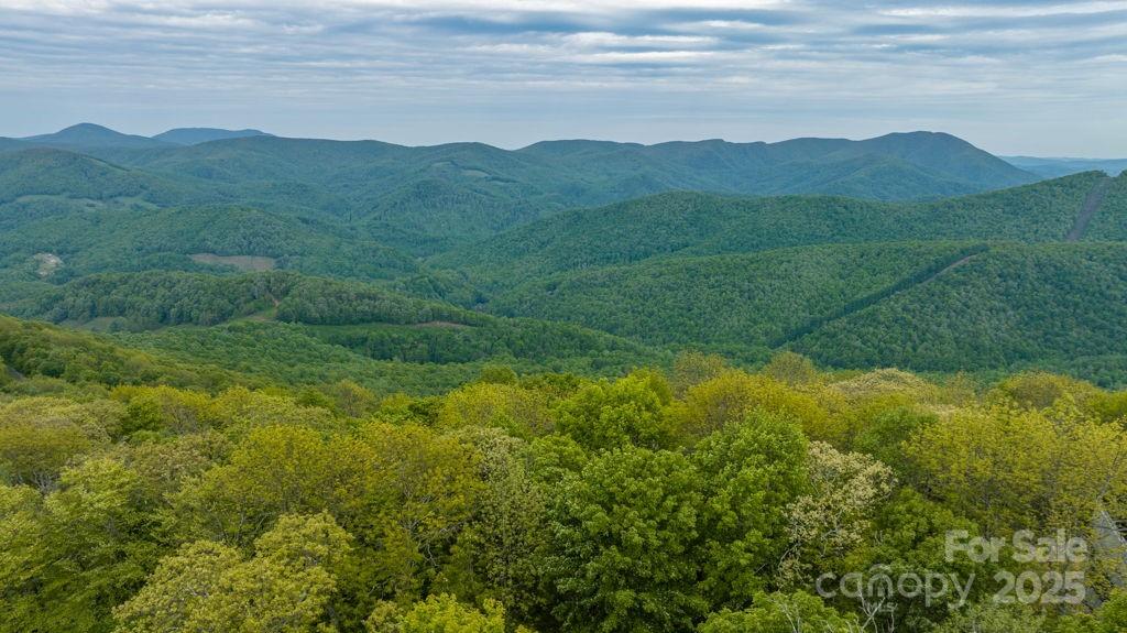 Lot 16 Crown Point Road, Unit 16 Hubert, NC 28539 - Photo 13 of 28 a view of a lush green hillside and a houses