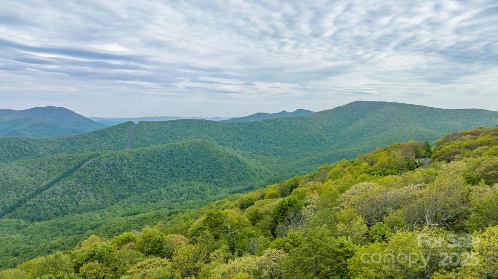 Lot 16 Crown Point Road, Unit 16 Hubert, NC 28539 - Photo 14 of 28 a view of a lush green hillside and a houses