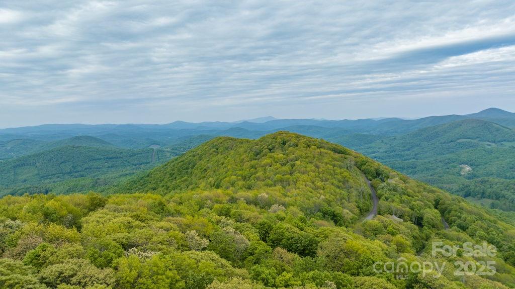 Lot 16 Crown Point Road, Unit 16 Hubert, NC 28539 - Photo 16 of 28 a view of a big yard