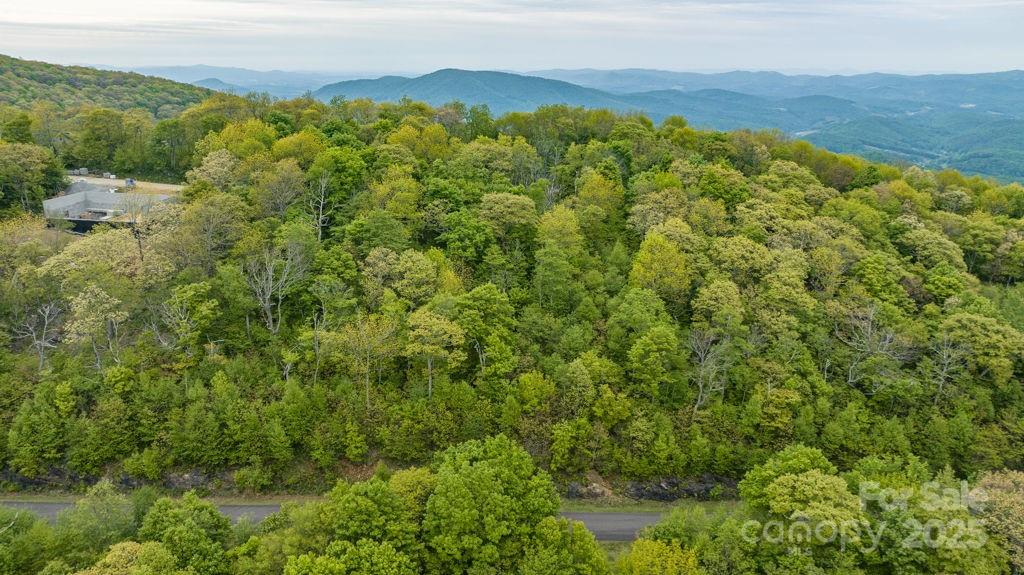 Lot 16 Crown Point Road, Unit 16 Hubert, NC 28539 - Photo 17 of 28 a view of a lush green hillside and a houses