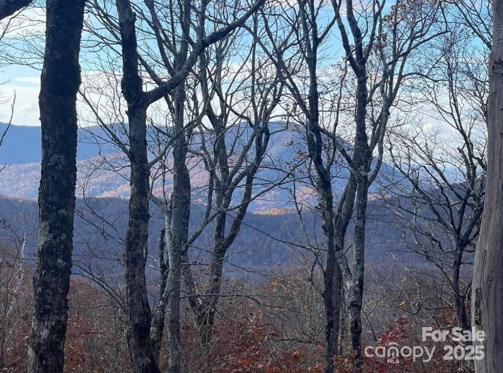 Lot 16 Crown Point Road, Unit 16 Hubert, NC 28539 - Photo 26 of 28 a pathway of a yard