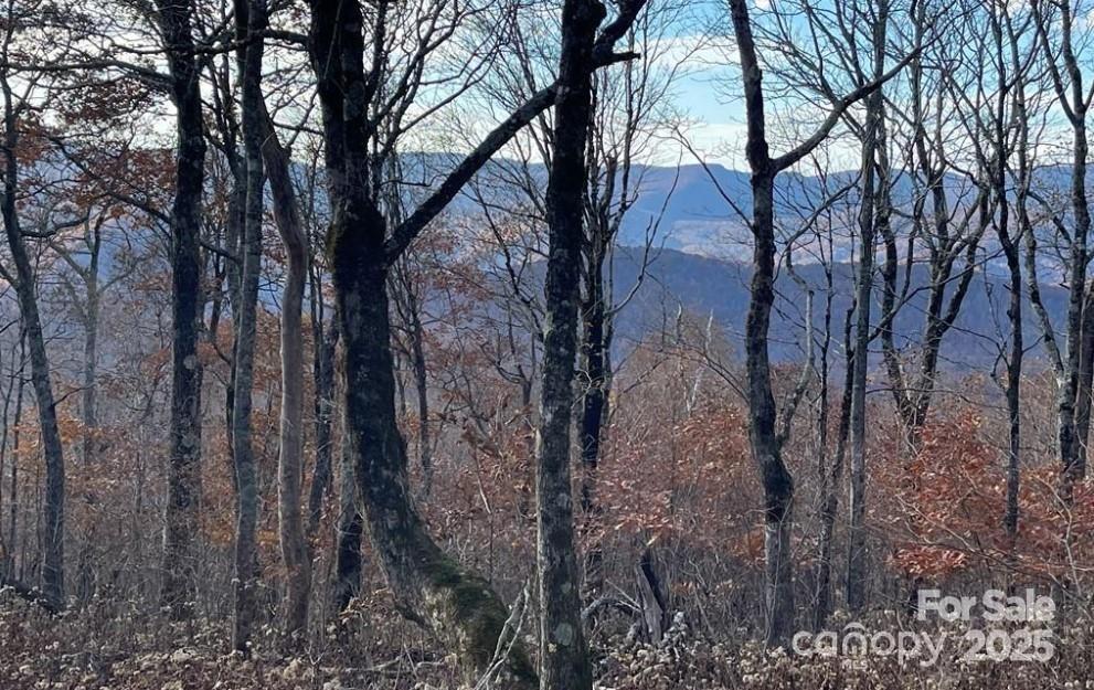 Lot 16 Crown Point Road, Unit 16 Hubert, NC 28539 - Photo 27 of 28