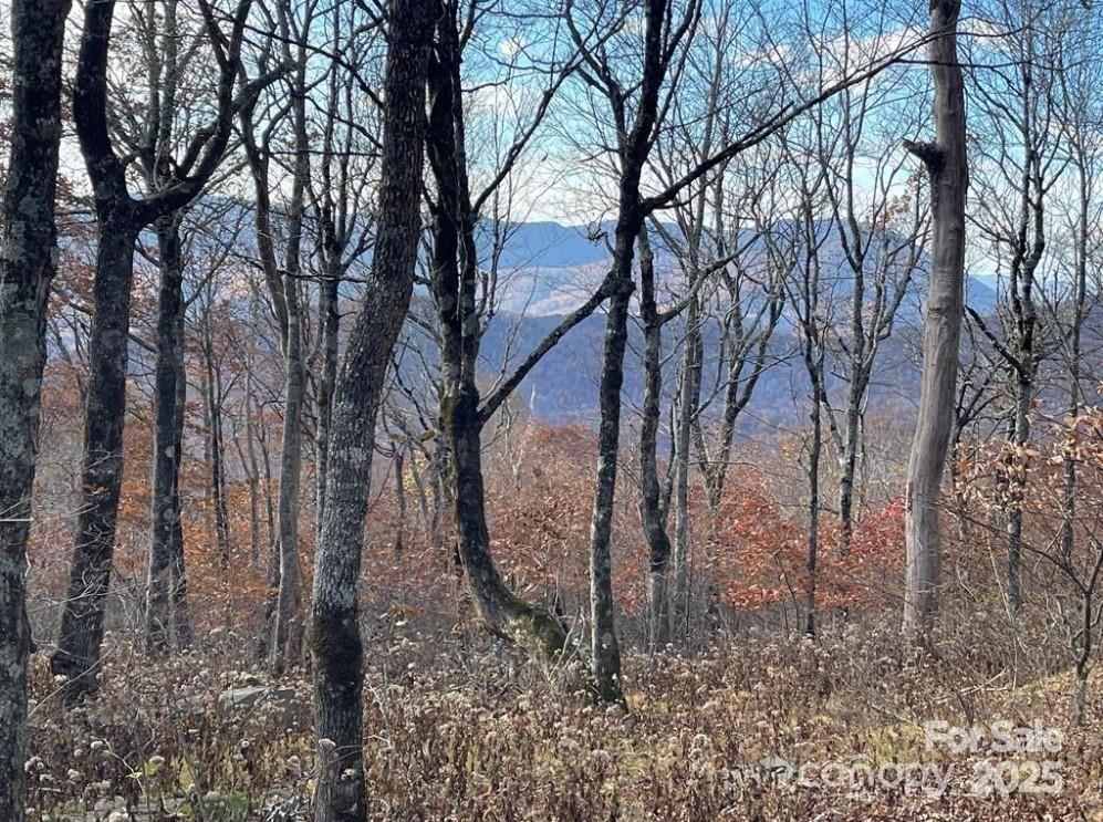 Lot 16 Crown Point Road, Unit 16 Hubert, NC 28539 - Photo 28 of 28 a view of a backyard with large trees