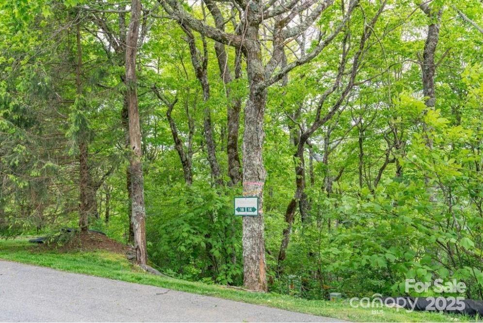 Lot 16 Crown Point Road, Unit 16 Hubert, NC 28539 - Photo 6 of 28 a view of yard with green space