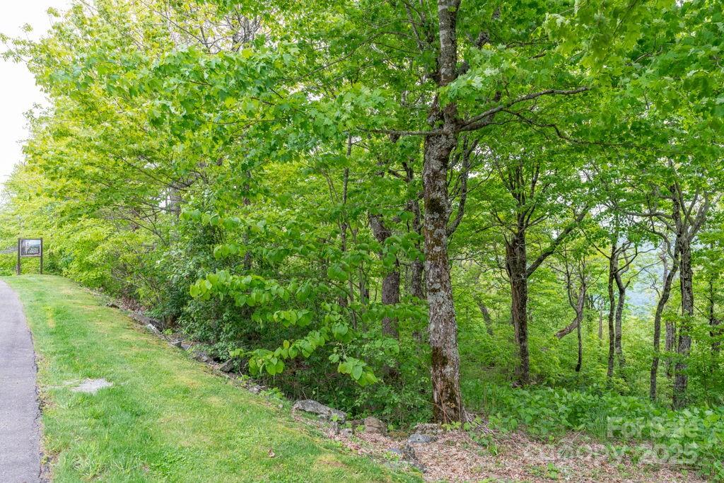 Lot 16 Crown Point Road, Unit 16 Hubert, NC 28539 - Photo 8 of 28 a view of a lush green forest