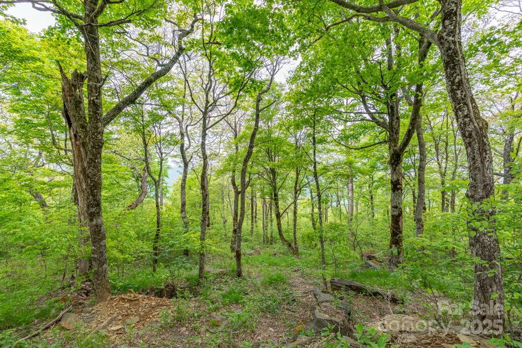 Lot 16 Crown Point Road, Unit 16 Hubert, NC 28539 - Photo 9 of 28 a view of outdoor space and trees in the background