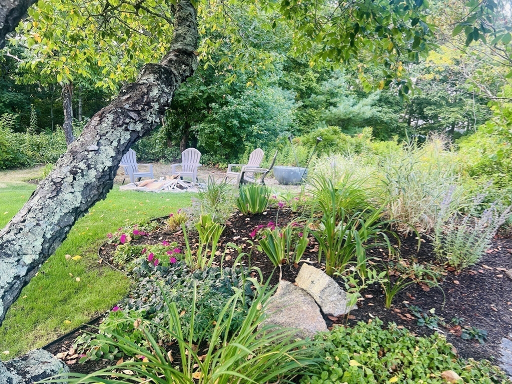 4 R Old County Road Rockport, MA 01966 - Photo 28 of 29 a view of a garden with plants and large trees