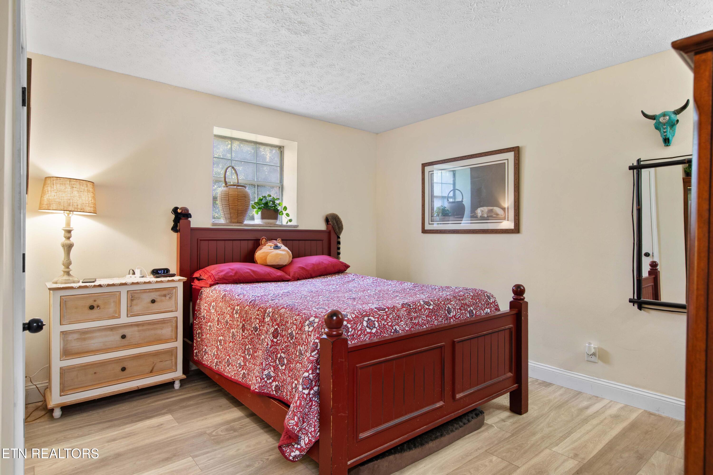 6720 Ridgeview Road Knoxville, TN 37918 - Photo 24 of 32 Basement Master