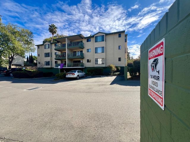 a view of road and trees