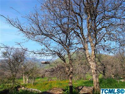 40131 Pierce Drive Three Rivers, CA 93271 - Photo 25 of 25 a view of mountain view