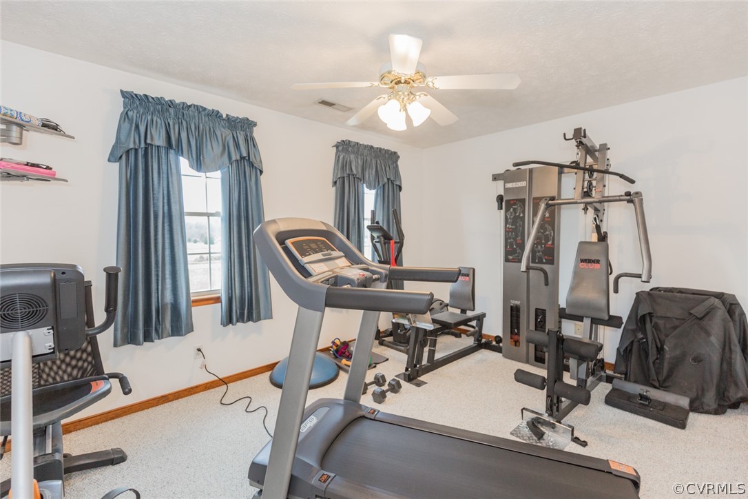 8773 Hines Road Disputanta, VA 23842 - Photo 41 of 44 Gallery Image 41