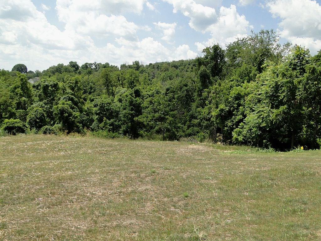 683 Ridge Avenue Canonsburg, PA 15317 - Photo 25 of 25 Great Back Yard Backs Woods