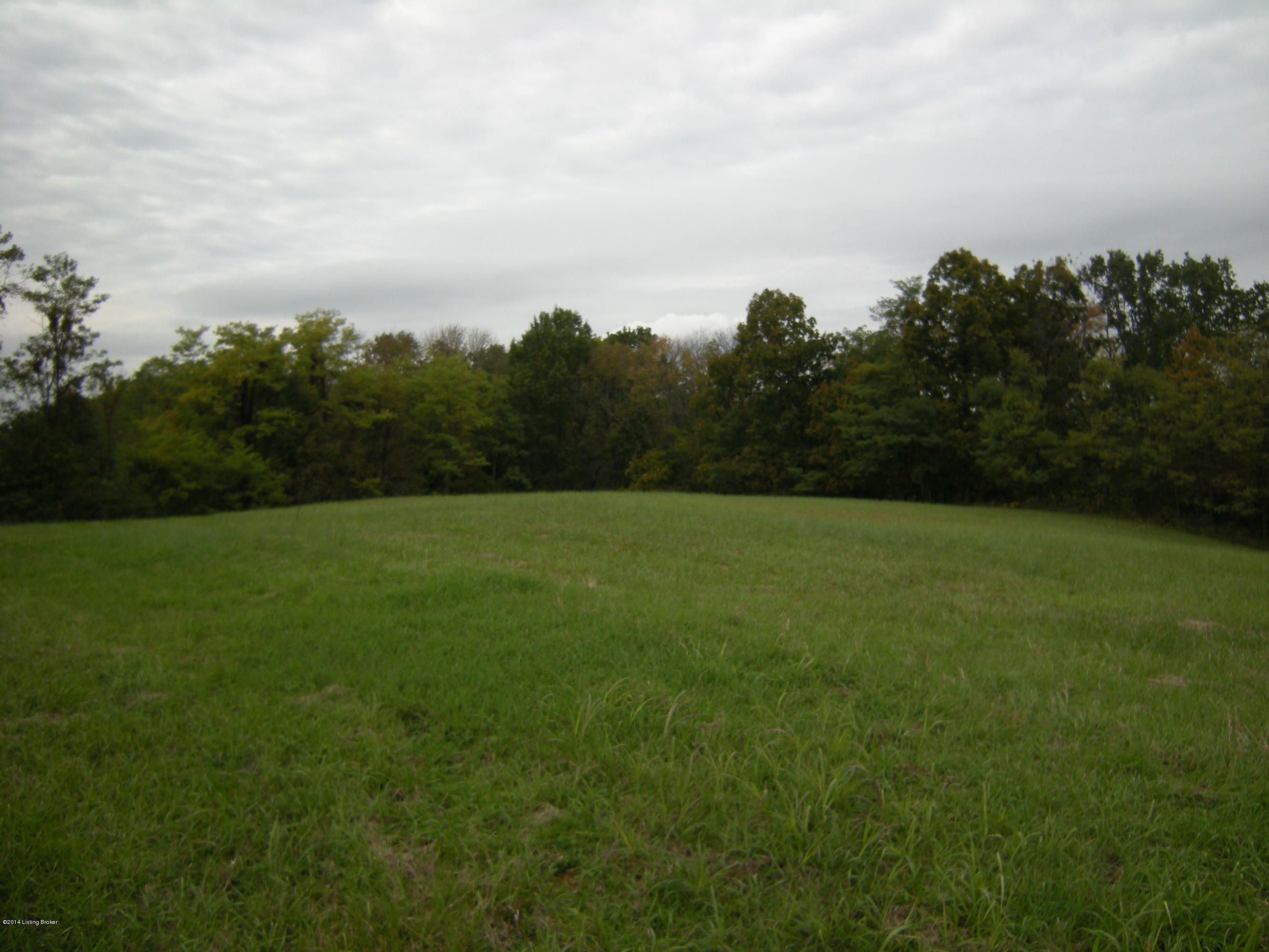 359 Tree Farm Road, Unit TRACT 3 Bedford, KY 40006 - Photo 1 of 1 DSCN1650