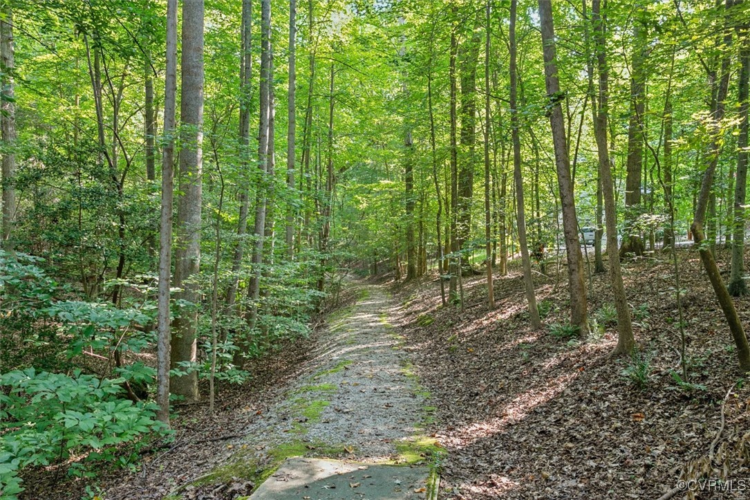 4704 Lady Slipper Path Williamsburg, VA 23188 - Photo 49 of 50 a view of outdoor space and trees