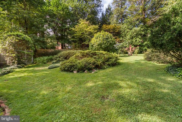 a view of yard with green space