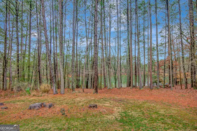 a view of outdoor space with sliding door and tree in the background