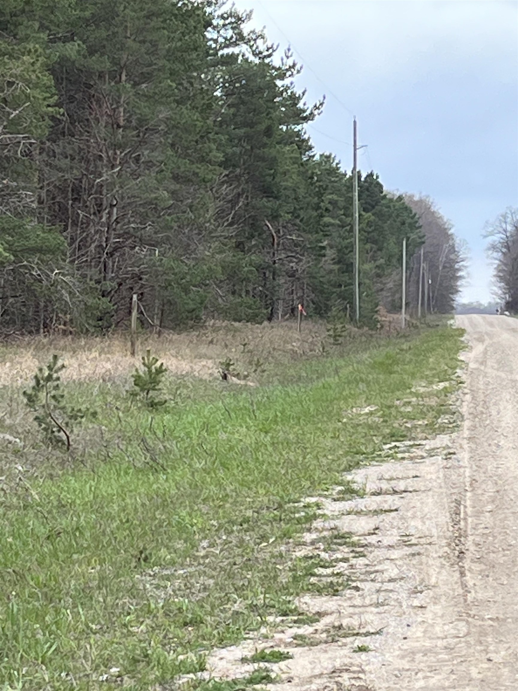 A Bailey Road, Unit LOT: A Mancelona, MI 49659 - Photo 7 of 20