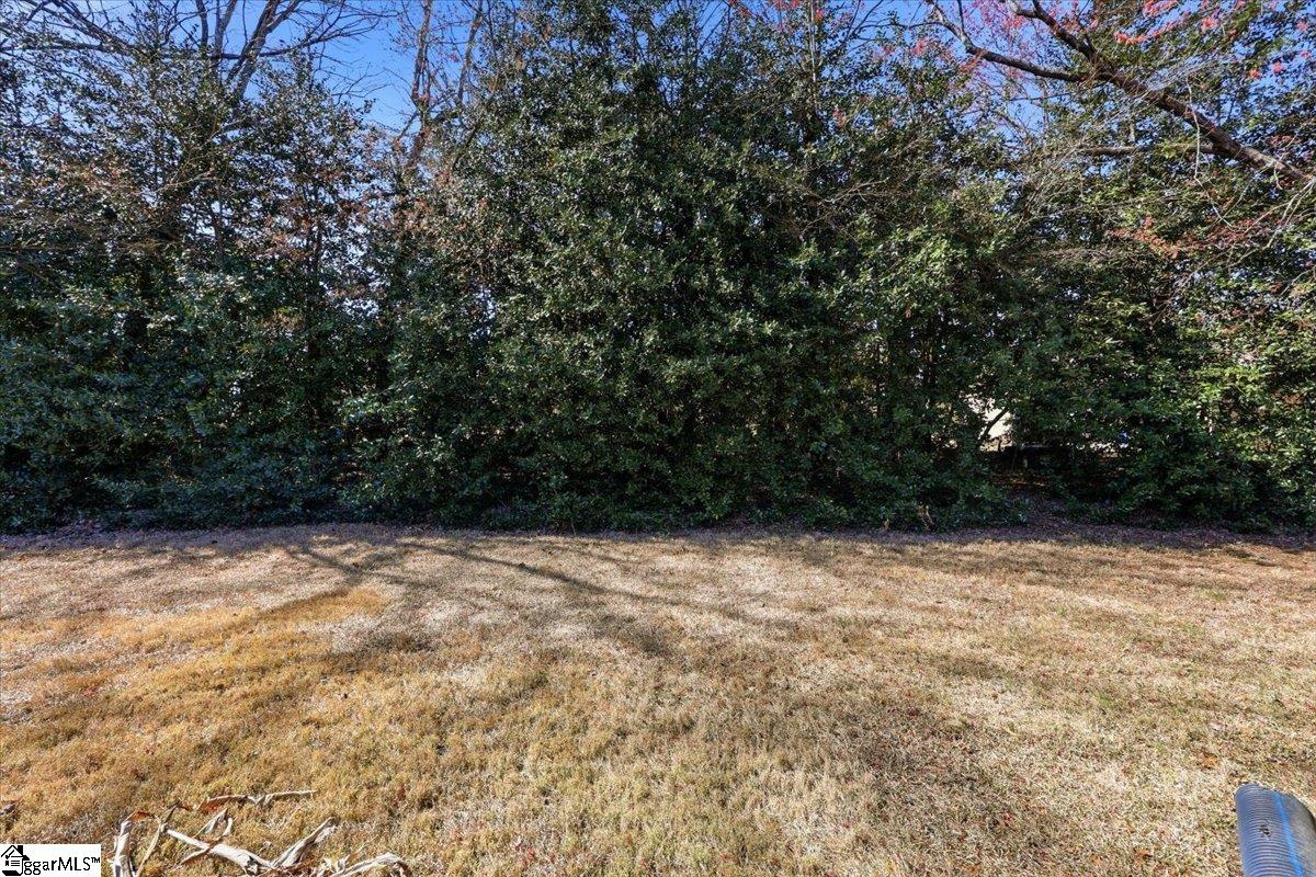 185 Tanager Circle Greer, SC 29650 - Photo 26 of 32