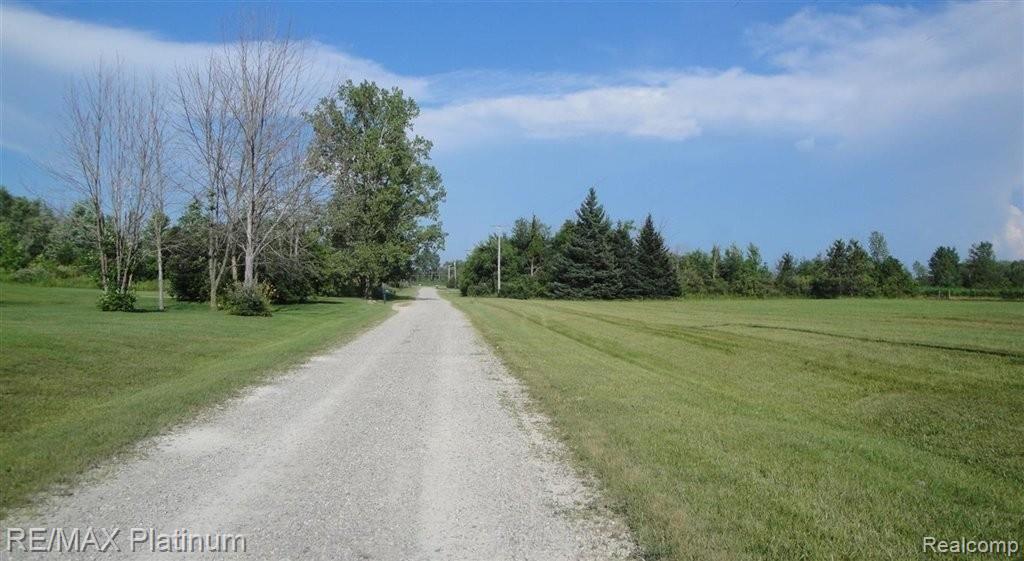 3901 North Burkhart Road Howell, MI 48855 - Photo 12 of 26 View down road to the east