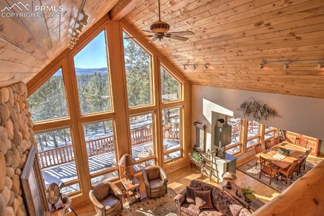 1115 Splendor Point Divide, CO 80814 - Photo 17 of 40