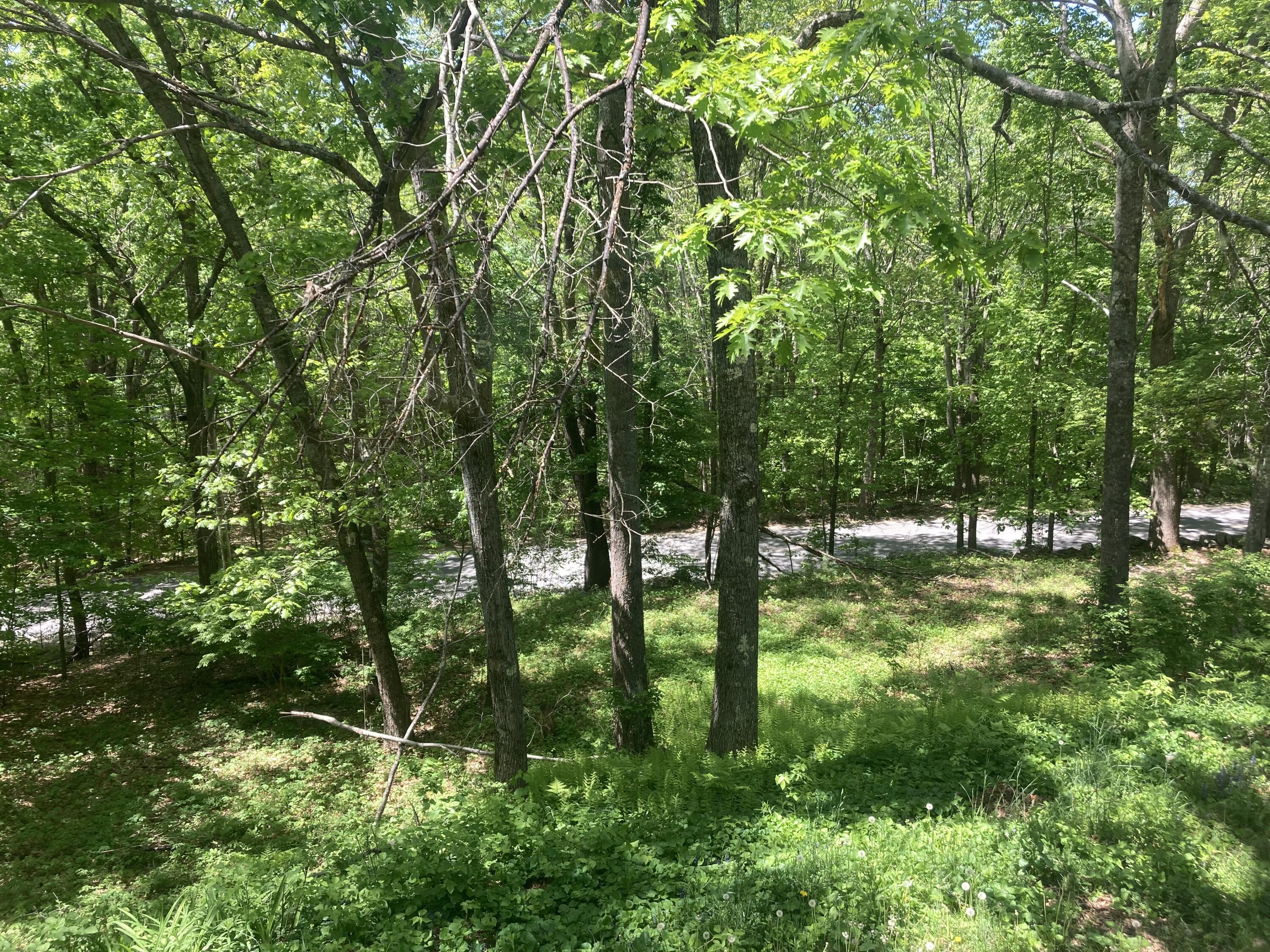 431 Middle Road Waterboro, ME 04087 - Photo 23 of 24 8B56B776-55A5-4072-8FED-B92D6A9F8686