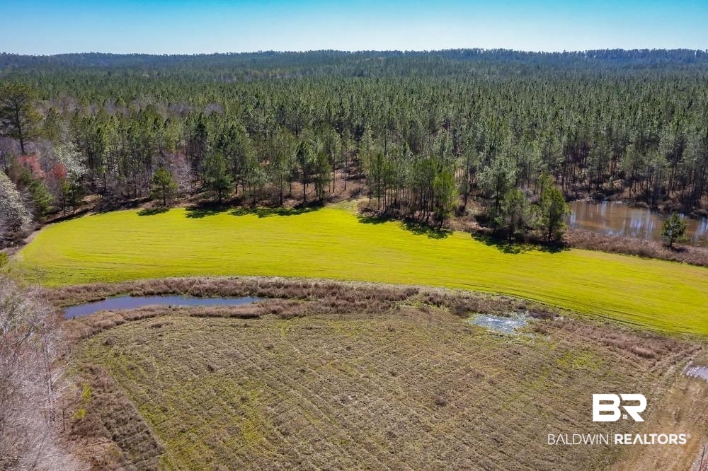 0 Private Road Millry, AL 36558 - Photo 40 of 50