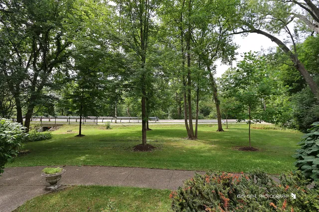 a view of outdoor space with trees all around