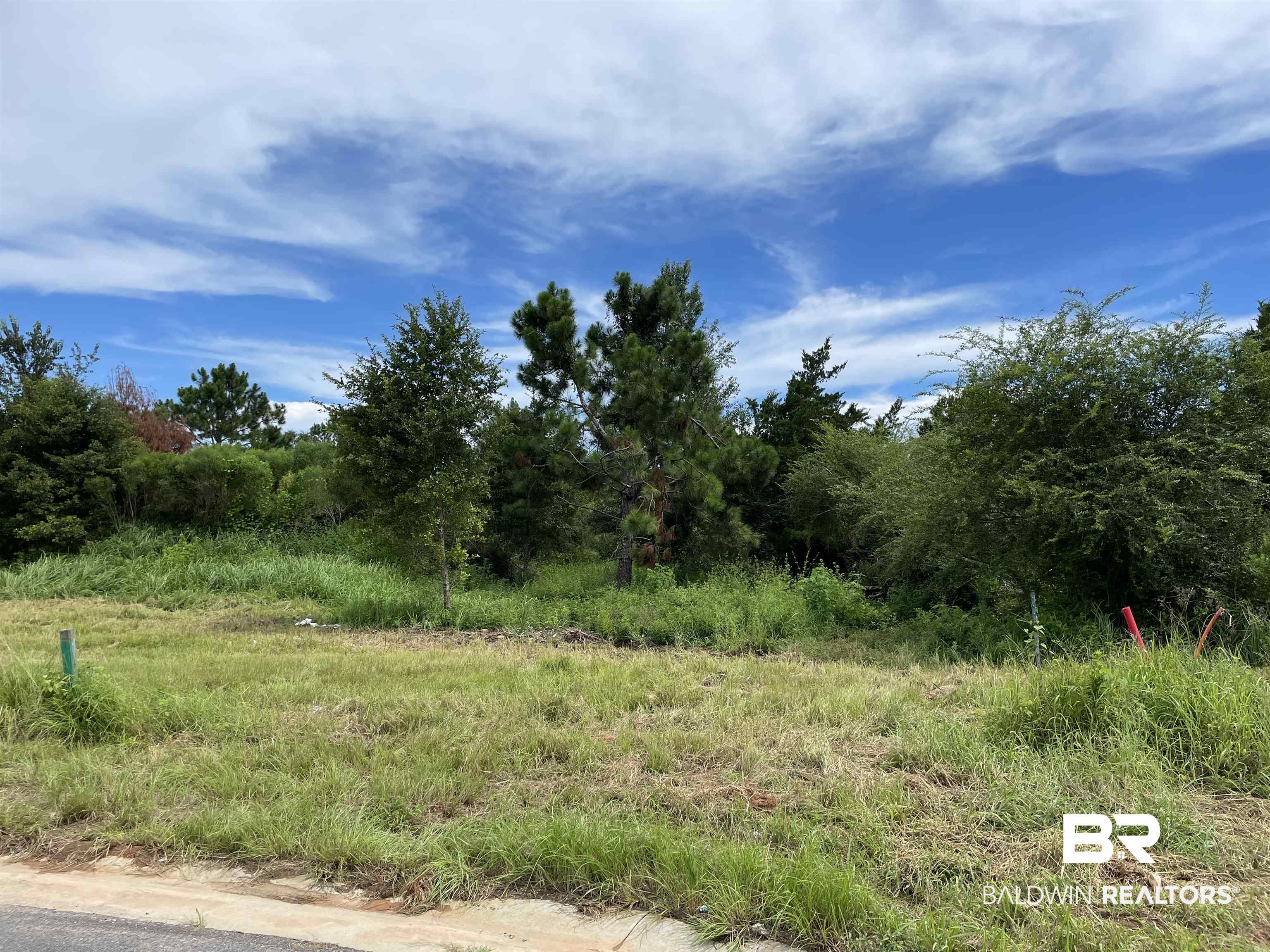 0 Makaira Drive Foley, AL 36535 - Photo 2 of 33