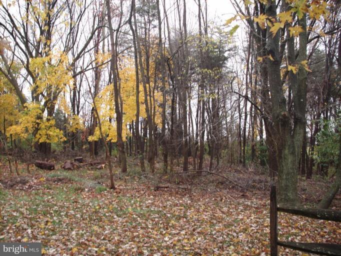 12009 Fingerboard Road Monrovia, MD 21770 - Photo 21 of 25 Exterior #2