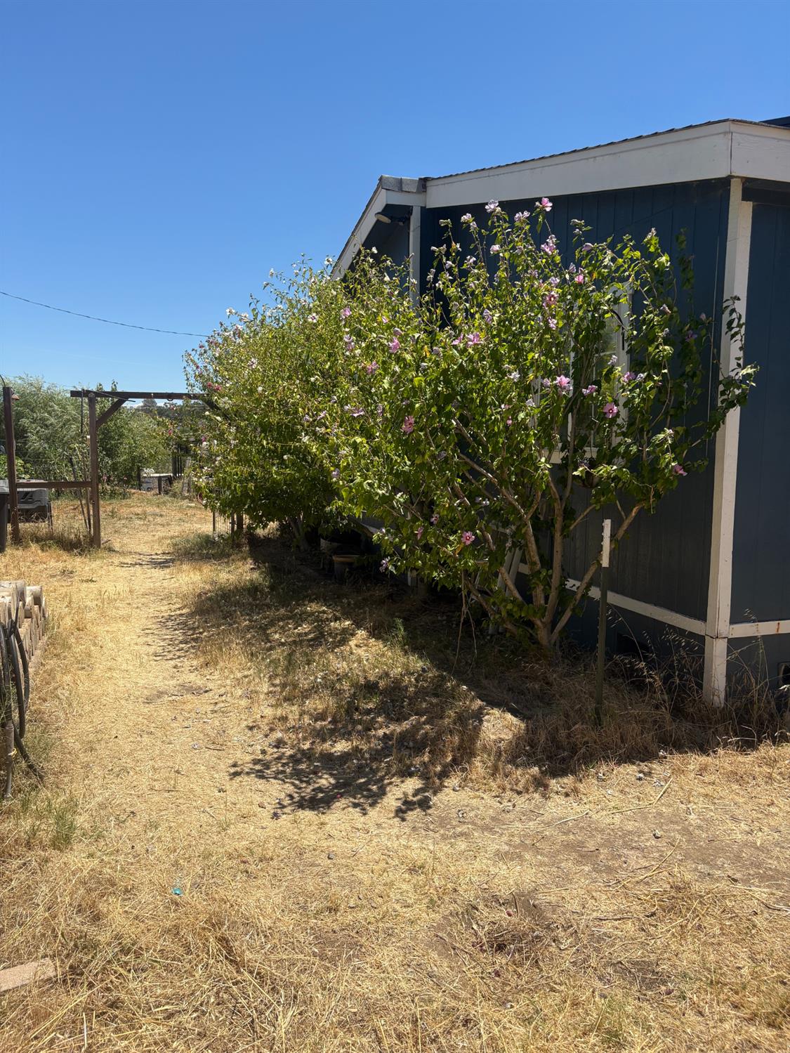 16862 Dutch Mine Road Jamestown, CA 95327 - Photo 33 of 37