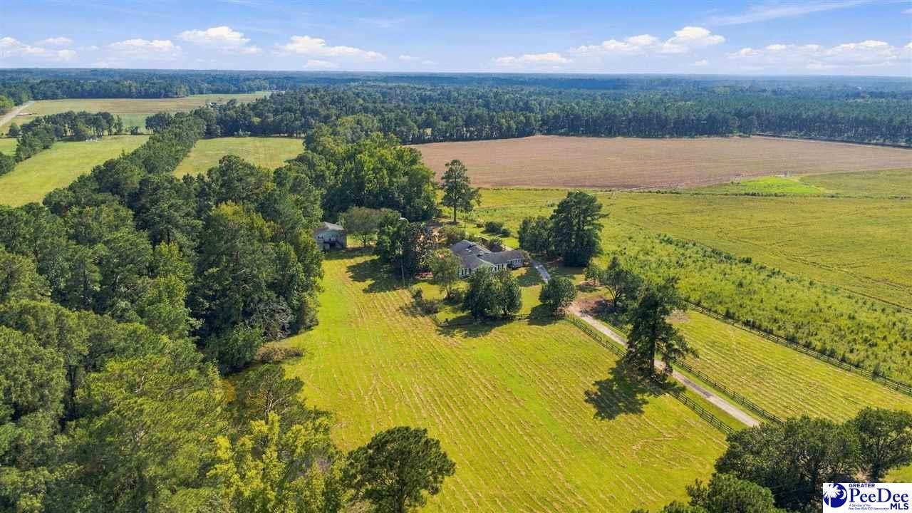4173 Bluff Road Marion, SC 29571 - Photo 62 of 71 Gallery Image 62