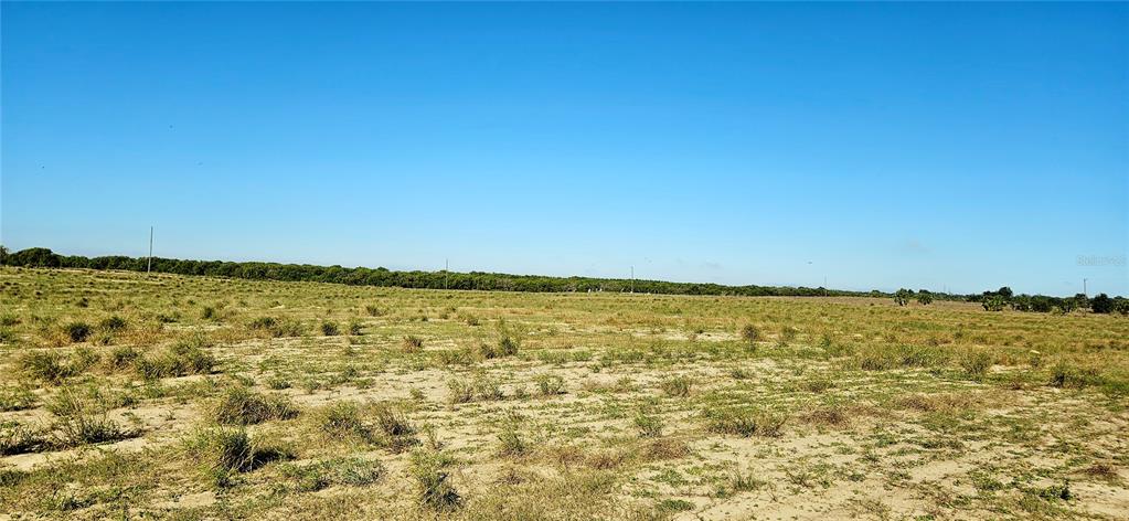 Dogyard Road Lake Wales, FL 33898 - Photo 3 of 7 a view of an ocean