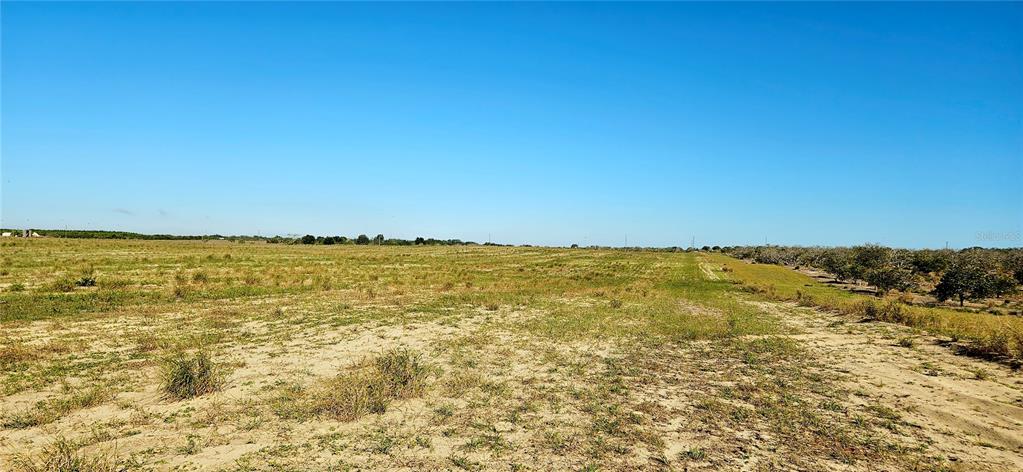 Dogyard Road Lake Wales, FL 33898 - Photo 6 of 7 a view of an ocean