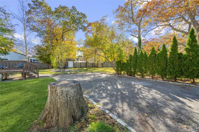 a view of yard with green space