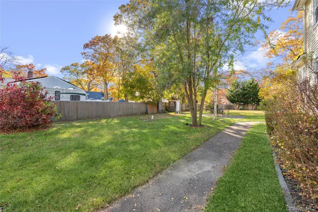 a view of a yard with plants and large trees