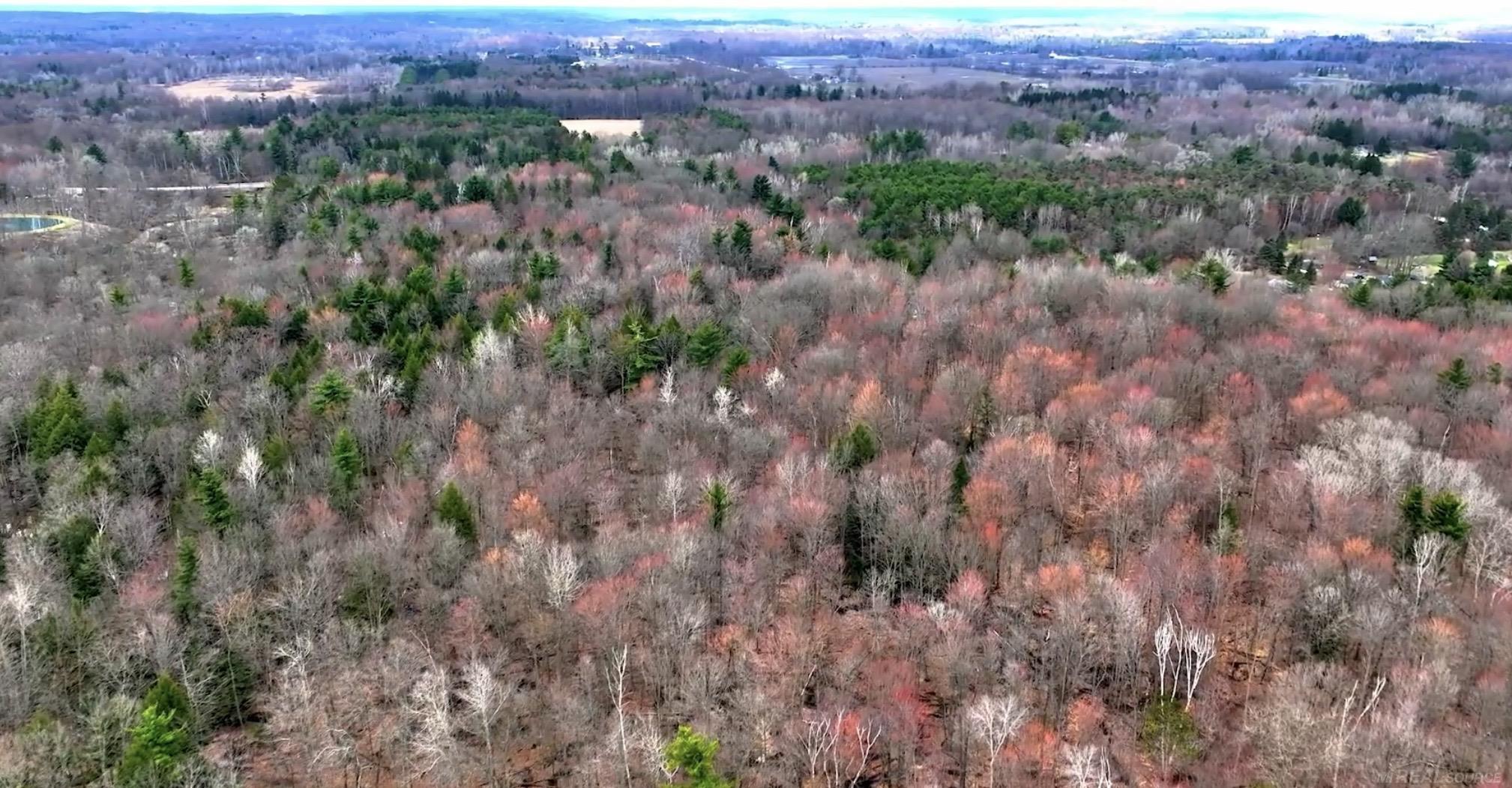 Rynn Road North Street, MI 48049 - Photo 1 of 15