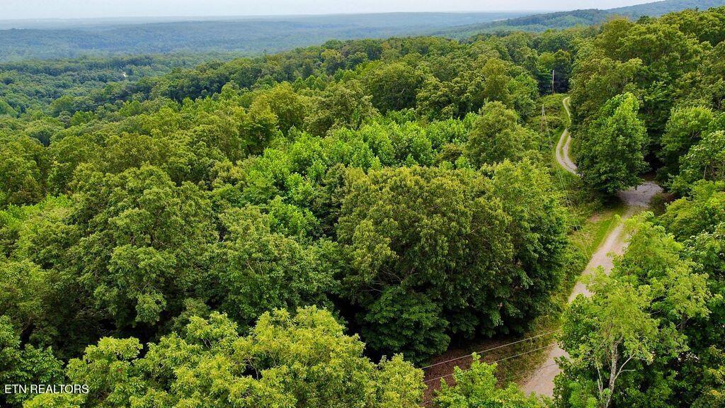 18.5-acres Raccoon Ridge Road Spring City, TN 37381 - Photo 21 of 37 9 racoon