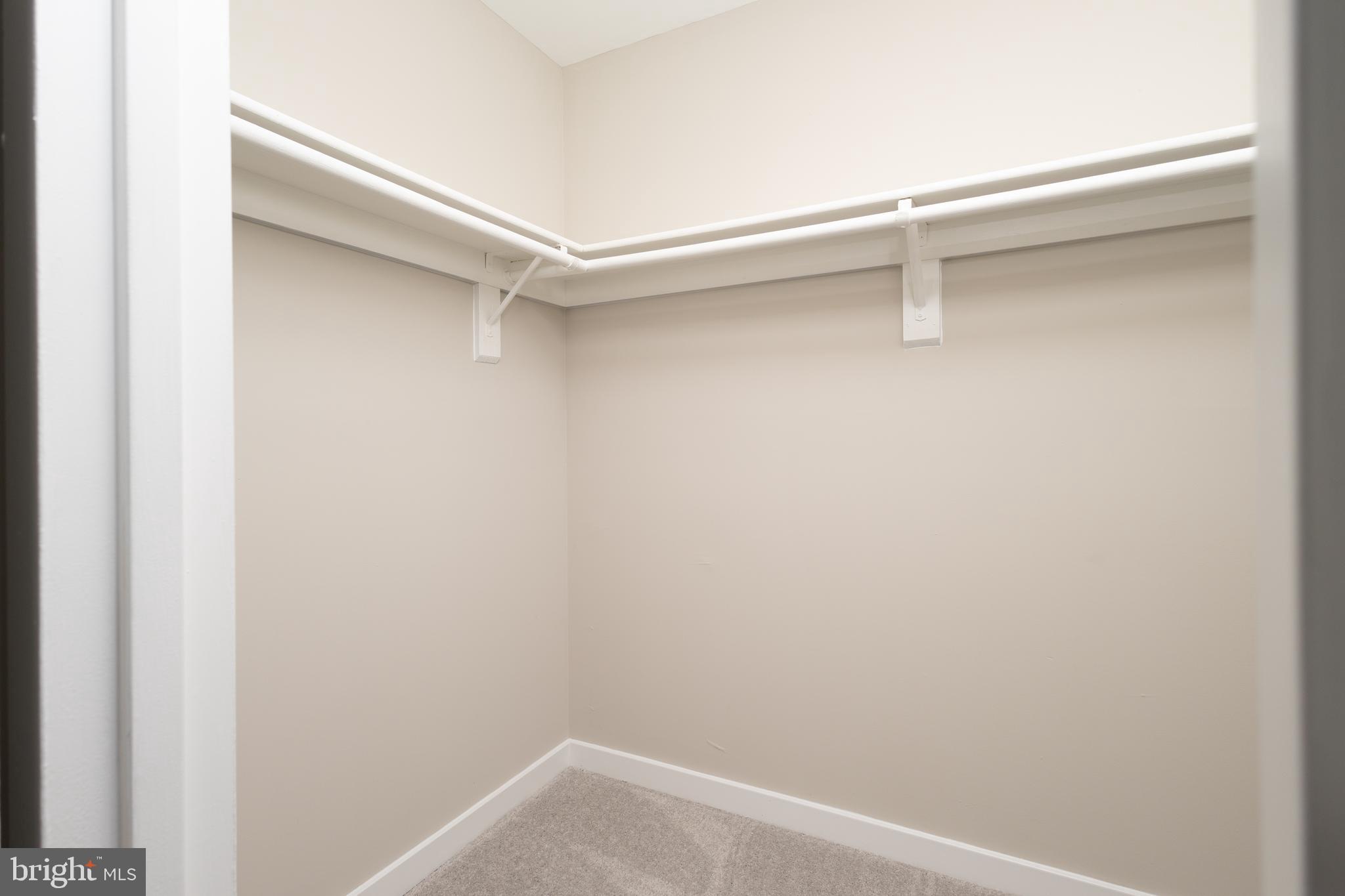 2054 Royal Fern Court, Unit 24/21B Reston, VA 20191 - Photo 28 of 45 walk-in closet