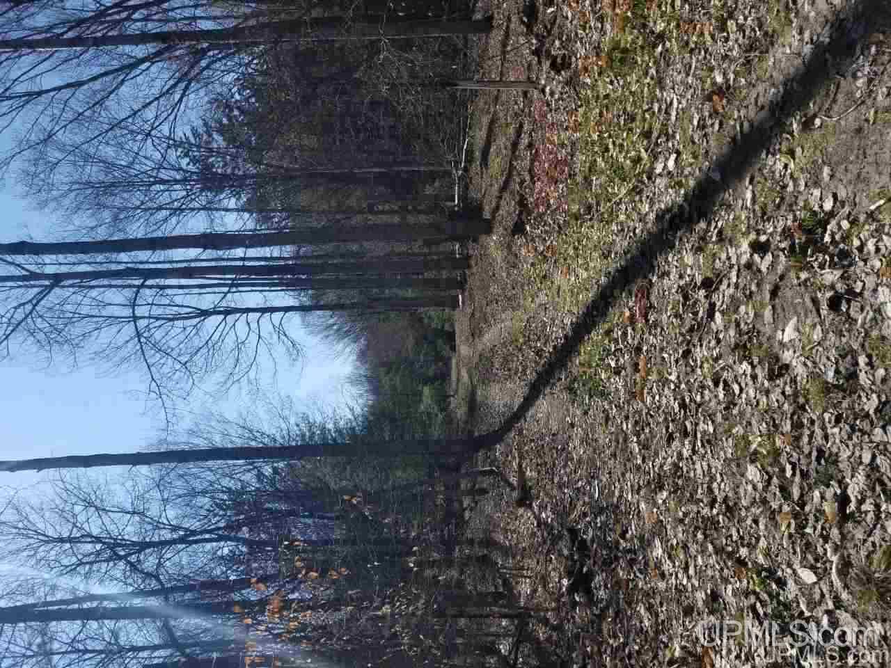 Tbd 2224 Road Wetmore, MI 49895 - Photo 6 of 14