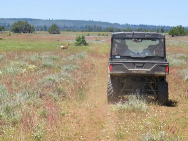 a view of a lake with a city