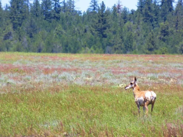 a view of a street with an ocean view