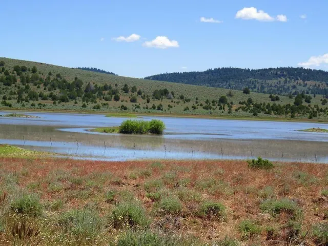 an aerial view of a house with mountain view