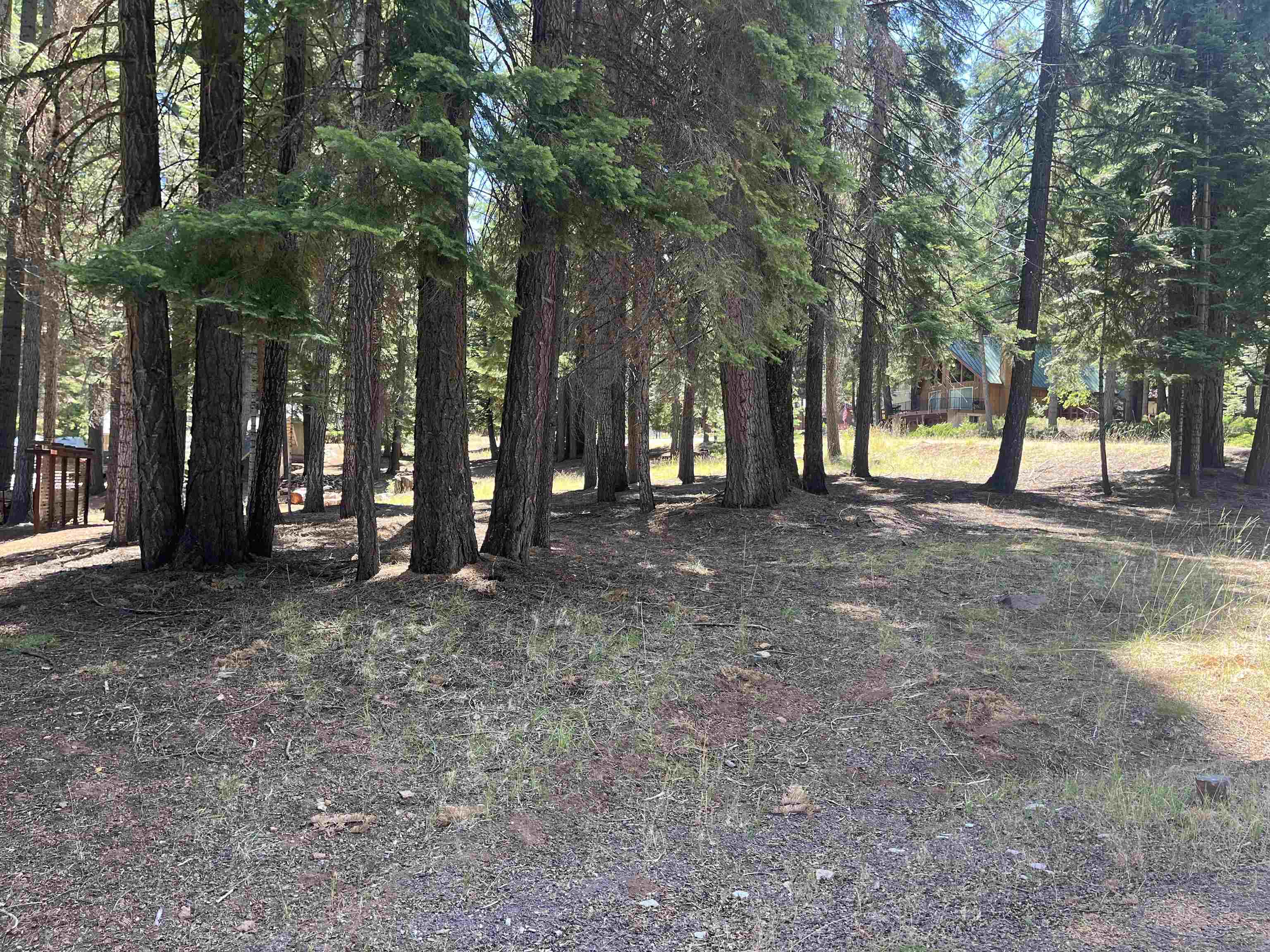 1160 Lake Ridge Road Lake Almanor, CA 96137 - Photo 5 of 9