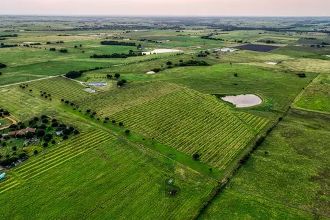 a view of a field with an ocean