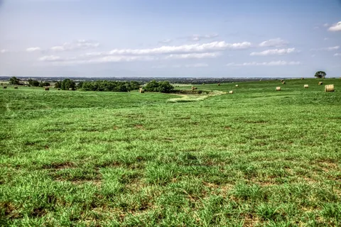 a view of a city with lush green forest