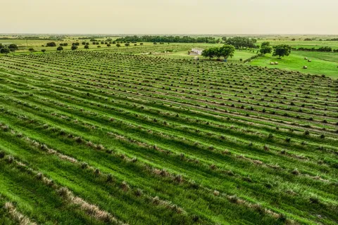 a view of a lake with houses