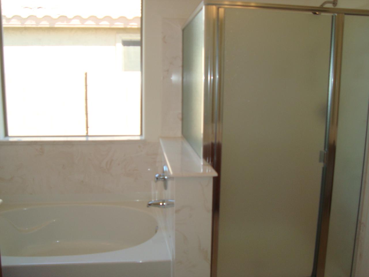 15160 West Calavar Road Surprise, AZ 85379 - Photo 20 of 31 Master Bathroom