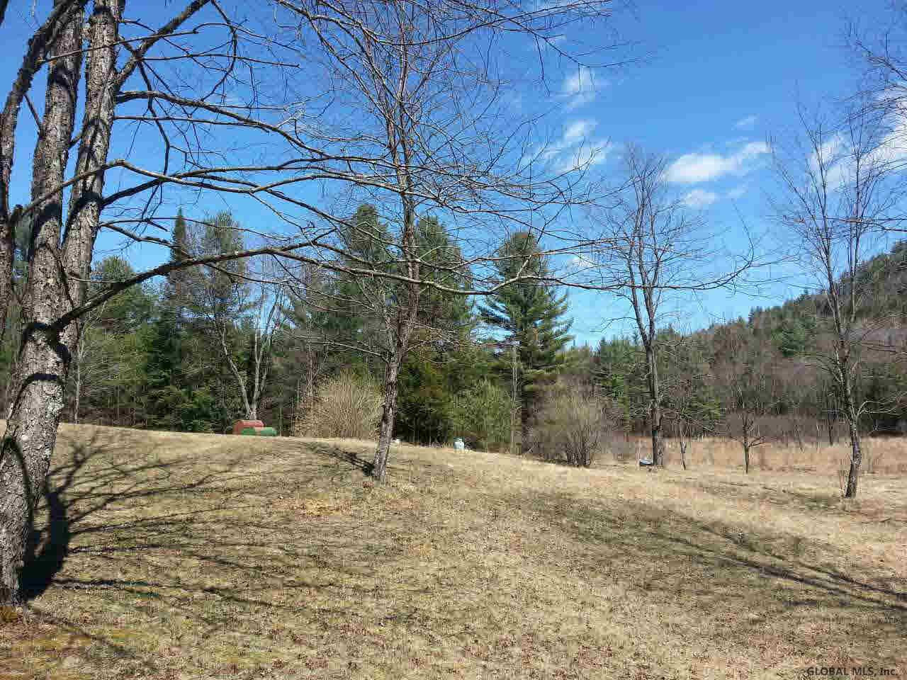 446 Johnson Road Horicon, NY 12808 - Photo 4 of 11 Photo 5