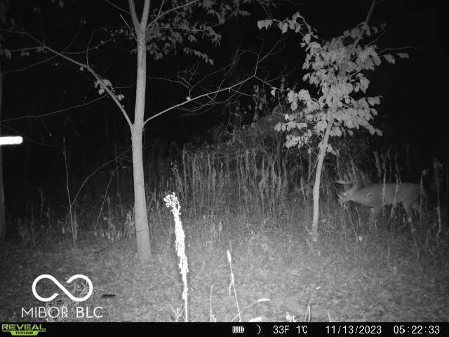 $745,000 | 26595 Mt Pleasant Road, Arcadia, IN 46030